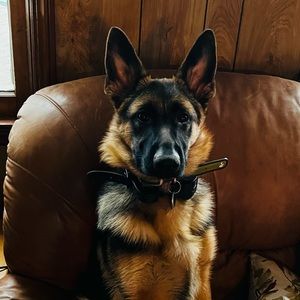 Meet your Posher, Kierra